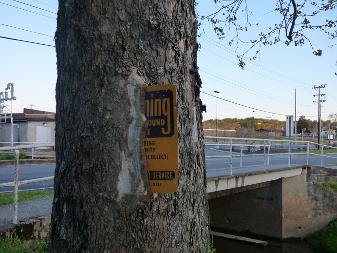 tree consuming sign 