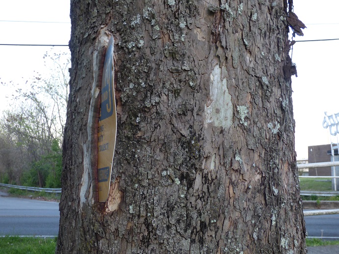 tree consuming sign2 
