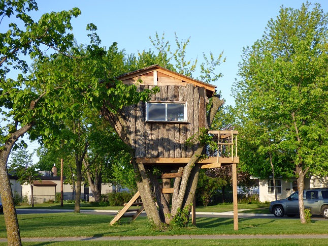 tree house 