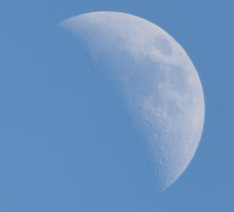 daytime photography visible craters on our moon 