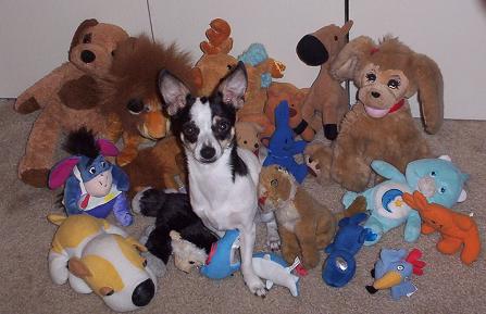 toby and the toys 