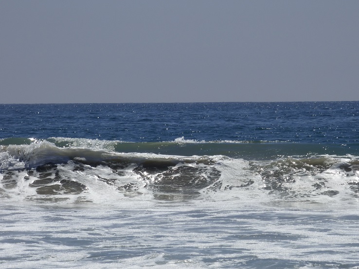 surf wave 