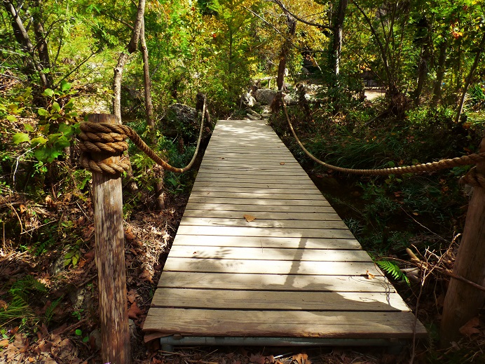 wooden bridge to hamilton pool 