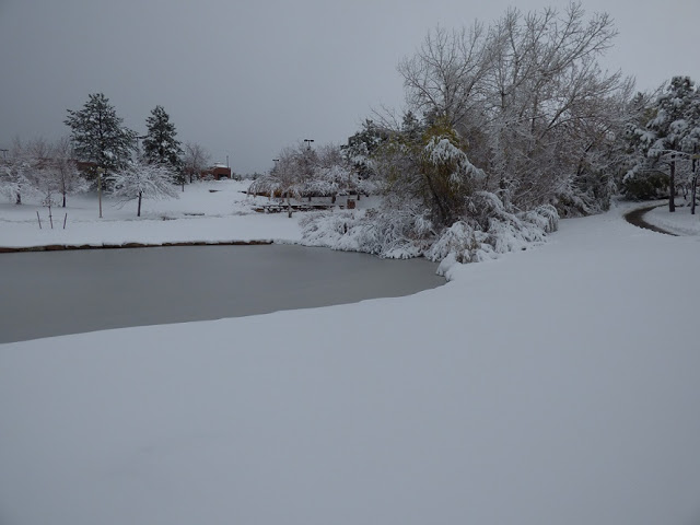  frozen pond denver colorado3 