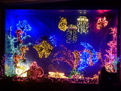 christmas lights aquarium 